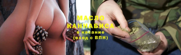винт Дмитриев