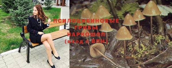 винт Дмитриев