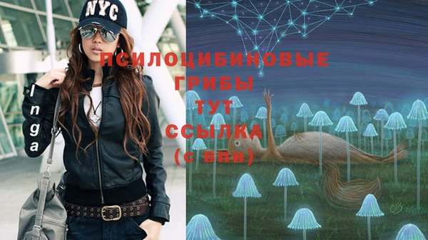 скорость Дмитровск