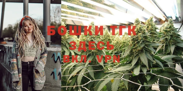 винт Дмитриев
