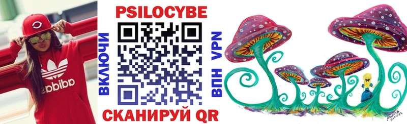 Псилоцибиновые грибы Psilocybe  Купить где  Мышкин 